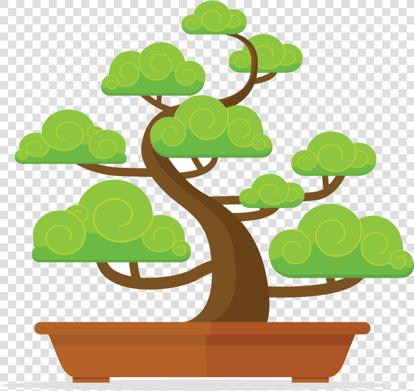 Find Your Bonsai   Vector Set Bonsai  HD Png DownloadTransparent PNG