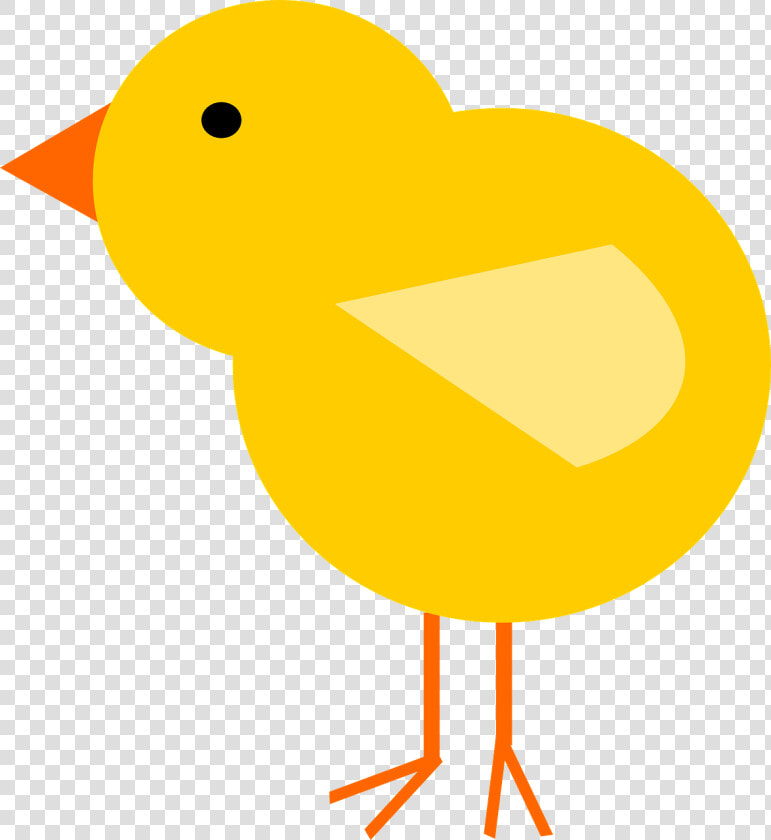 Chick  Bird  Easter  Spring  Animal  Feather   Chick Clipart Png  Transparent PngTransparent PNG