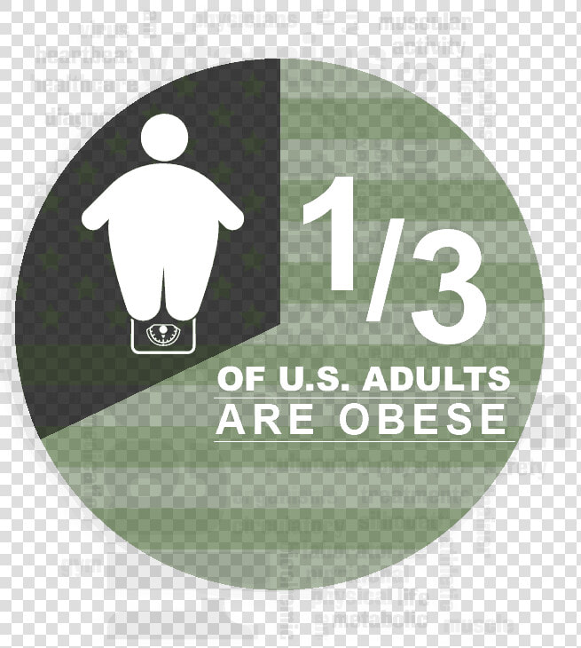 Obesity Infographic   Flyer  HD Png DownloadTransparent PNG