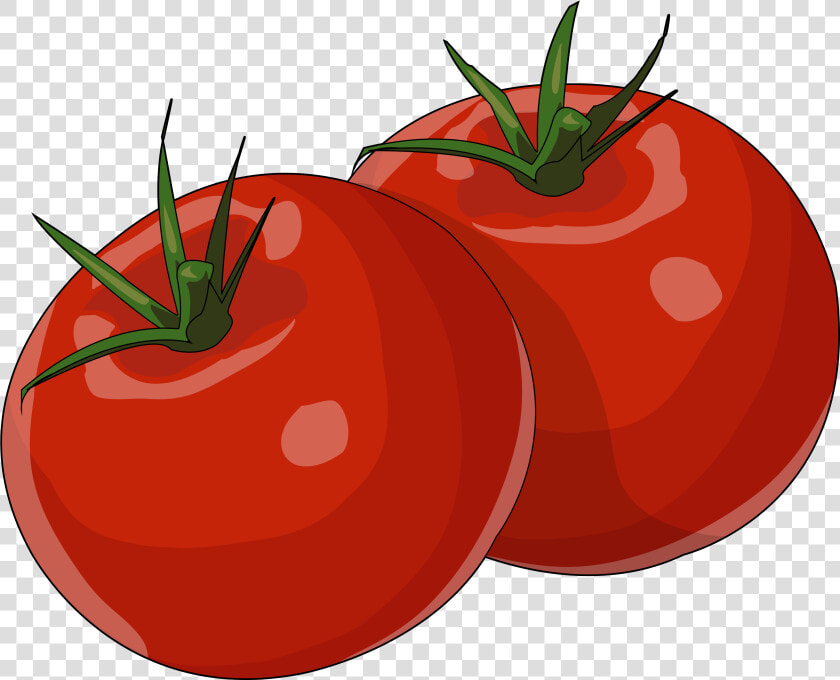 Tomate Png   Png Download   Tomate Png  Transparent PngTransparent PNG