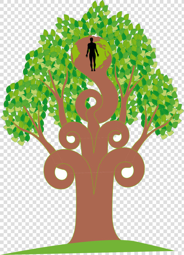 Tree Clipart Clipart Mango Tree   Illustration  HD Png DownloadTransparent PNG