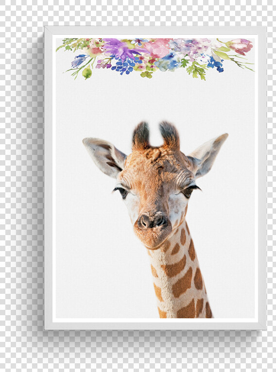 Giraffe Floral Class Lazyload Lazyload Fade In Cloudzoom   Giraffe  HD Png DownloadTransparent PNG