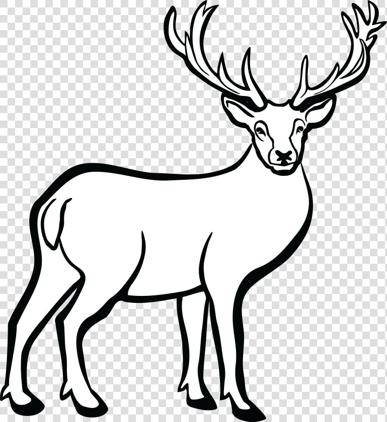 Free Clipart Of A Buck Deer   Deer Black And White  HD Png DownloadTransparent PNG