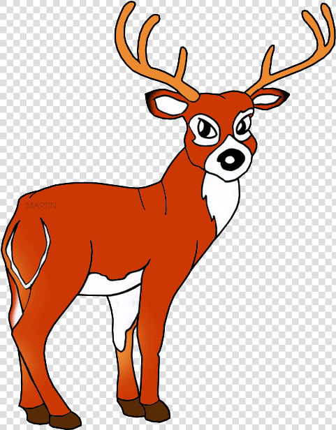 White Tailed Deer   Clipart Elk  HD Png DownloadTransparent PNG