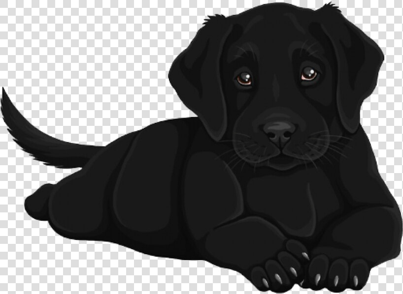 Black Lab Puppy Stickers  HD Png DownloadTransparent PNG