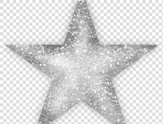 Glitter Star Cliparts   Silver Glitter Star Clipart  HD Png DownloadTransparent PNG