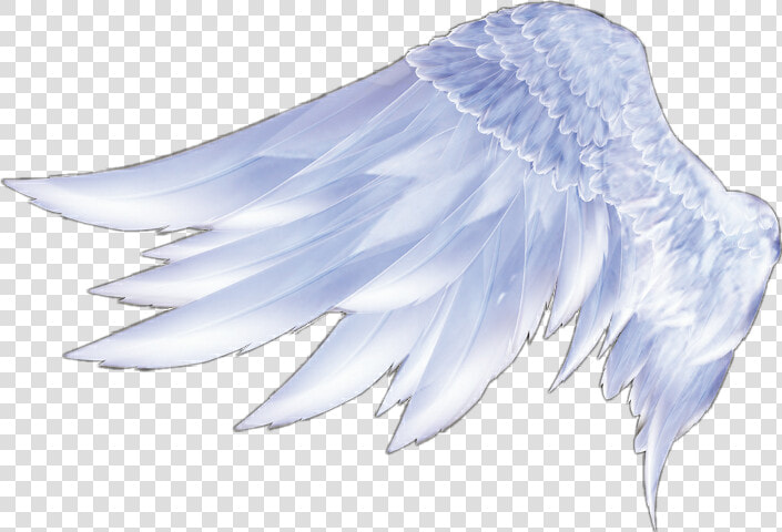 Angel Wings Angel Wings Feather   Angel Wings From The Side  HD Png DownloadTransparent PNG