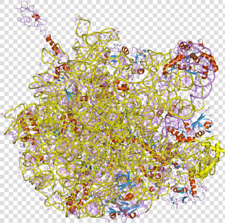 Structural Biochemistry nucleic Acid dna dna Structure unusual   Illustration  HD Png DownloadTransparent PNG