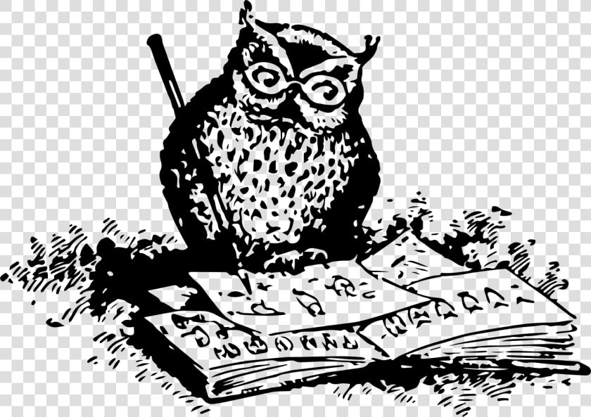 Owl Drawing Clip Art   Png Owl Drawing  Transparent PngTransparent PNG