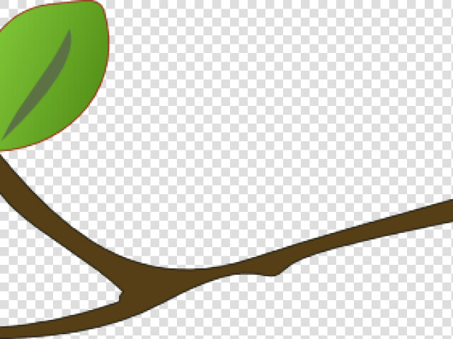 Transparent Twigs Clipart  HD Png DownloadTransparent PNG