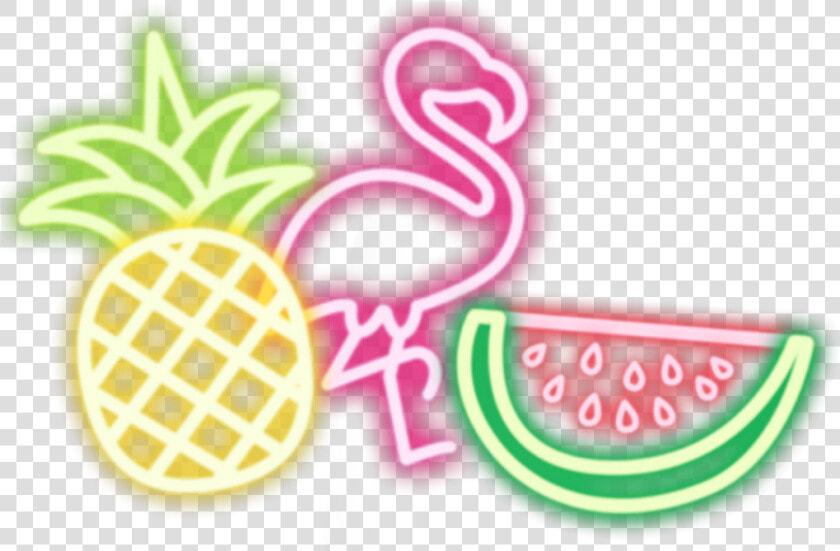  summer  piña  pineapple  playa  verano  sandia  watermelon   Flamingo And Pineapple Summer  HD Png DownloadTransparent PNG