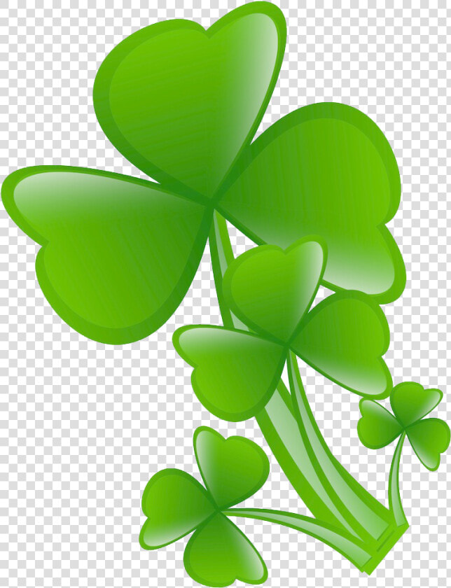 Transparent Four Leaf Clover Clipart   Four leaf Clover  HD Png DownloadTransparent PNG