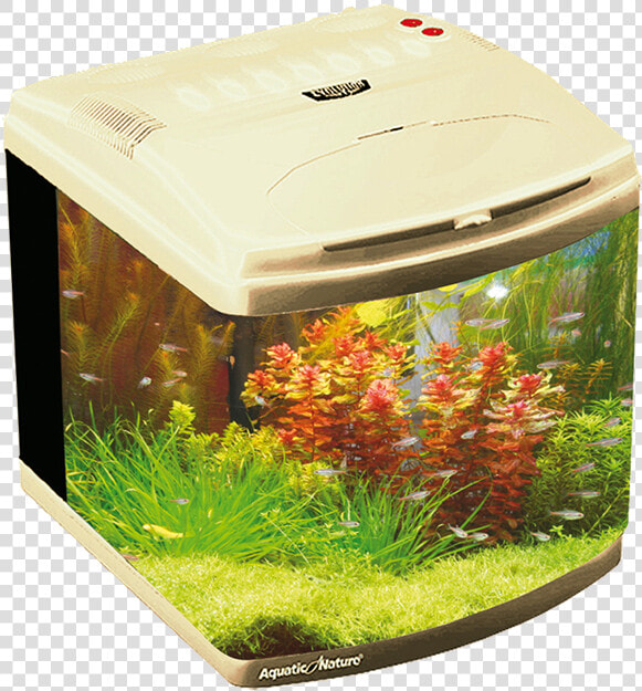 Evolution Vanilla   Freshwater Aquarium  HD Png DownloadTransparent PNG