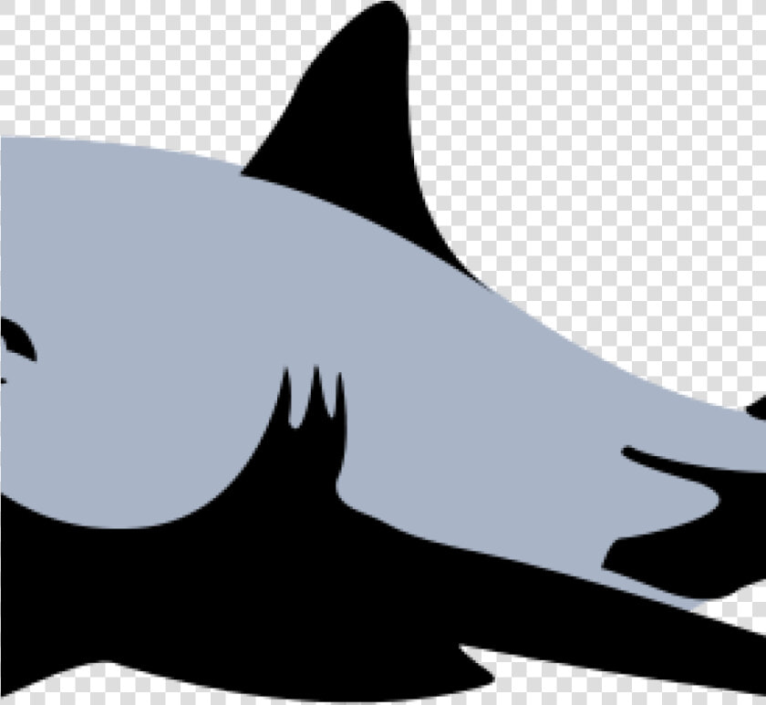 Free Clipart Shark Shark Clip Art Black And White Clipart   Blue Paul Shark Logo  HD Png DownloadTransparent PNG