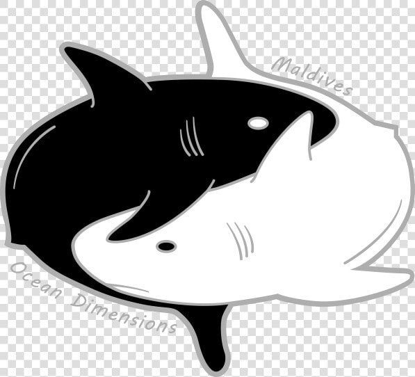 Ocean Dimensions Maldives   Great White Shark  HD Png DownloadTransparent PNG