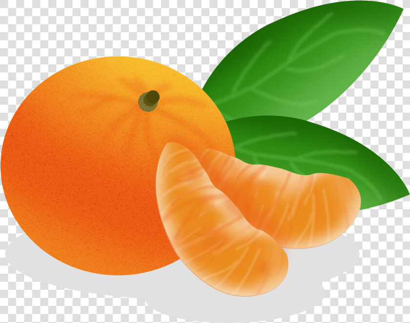 Cartoon Hand Drawn Fruit Food Png And Psd   Tangerine Cartoon  Transparent PngTransparent PNG