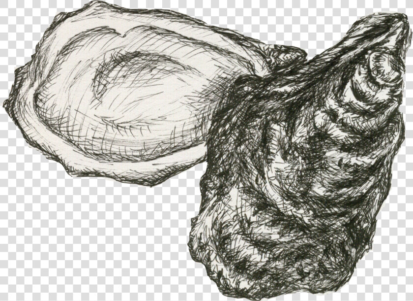 Png Transparent Oyster Shell  Png DownloadTransparent PNG