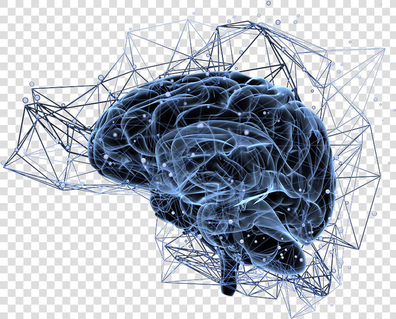 Brain Neuro Pathways   Brain Neurons Icon Png  Transparent PngTransparent PNG