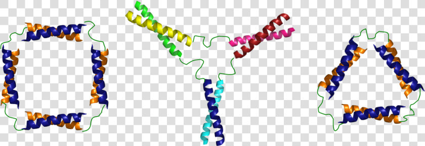 Some Designs For Coiled coil Nanostructures   Peptide Coiled Coil Self Assembly  HD Png DownloadTransparent PNG