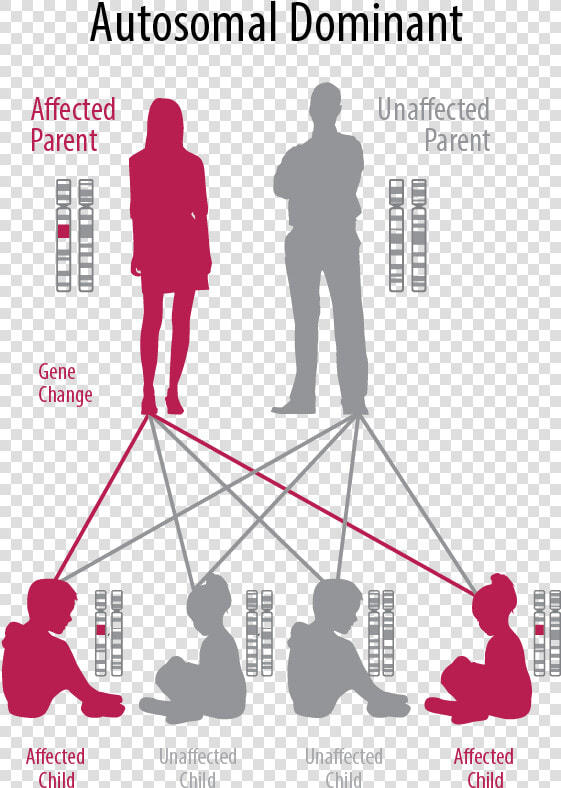 Inherited Disease  HD Png DownloadTransparent PNG