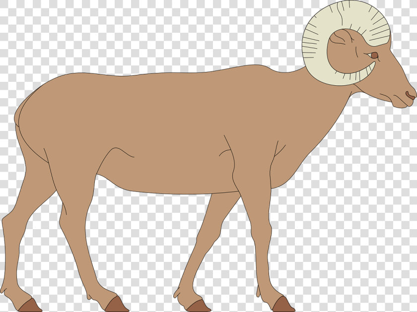 Bighorn Sheep Clipart  HD Png DownloadTransparent PNG