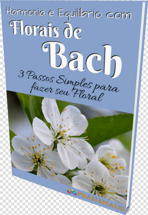 Harmonia E Equilíbrio Com Florais De Bach   Rosa Rubiginosa  HD Png DownloadTransparent PNG