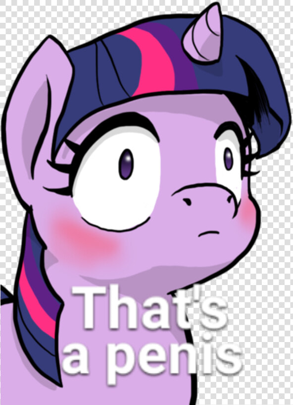 Twilight Sparkle Rarity Pinkie Pie Pony Pink Facial   My Little Pony Lewd Meme  HD Png DownloadTransparent PNG