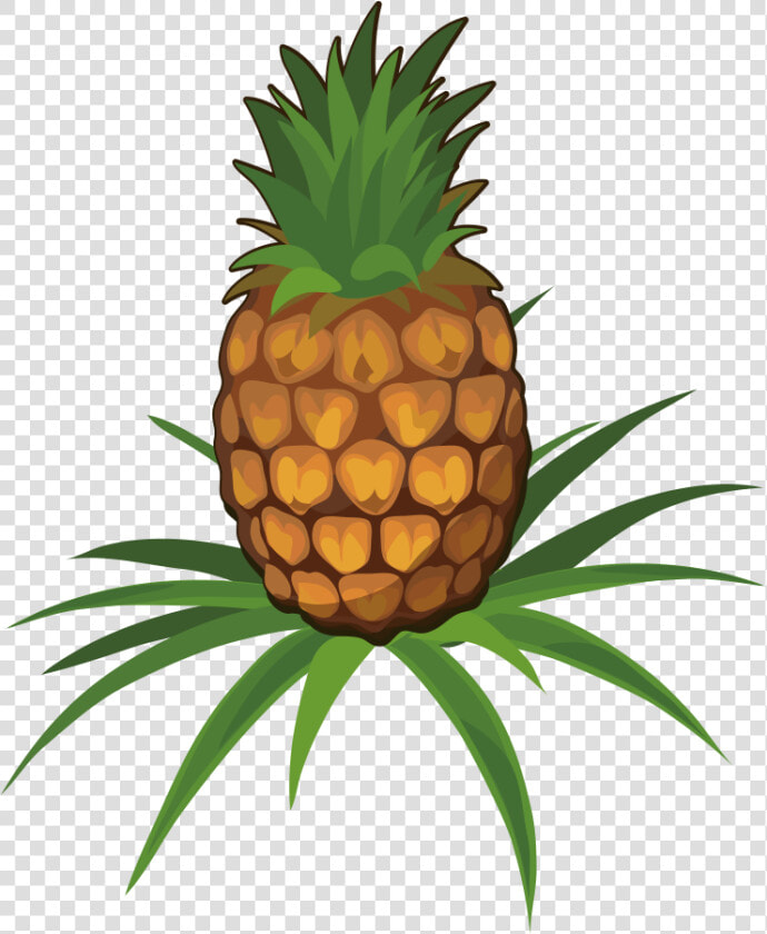 Juice Pineapple Fruit Clip Art Cartoon Ⓒ   Pineapple On Plant Png  Transparent PngTransparent PNG