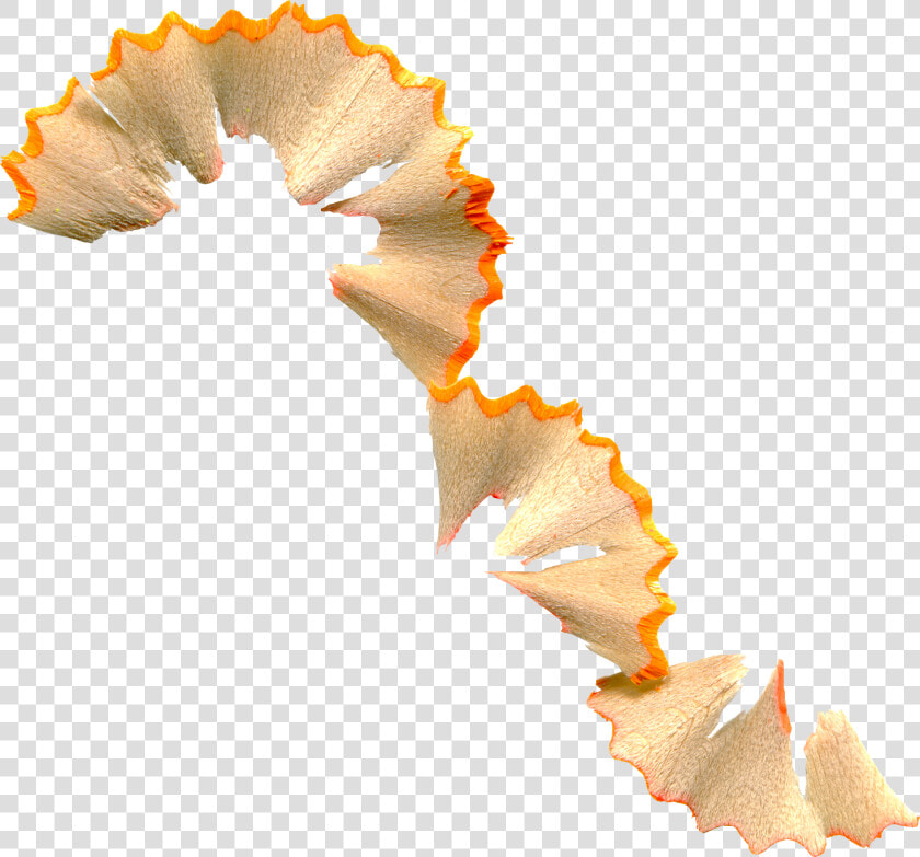 L Piz Clip Art Naranja Largas Virutas Ⓒ   Pencil Shavings Transparent Background  HD Png DownloadTransparent PNG