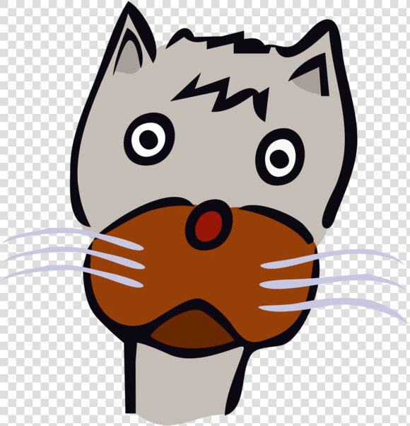 Head small To Medium Sized Cats vertebrate  HD Png DownloadTransparent PNG