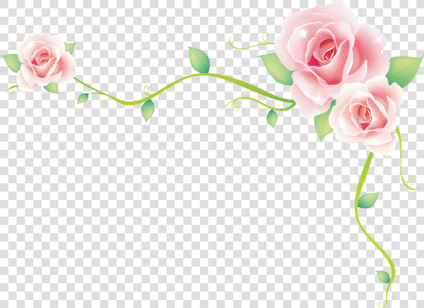 Rose Border Vector Rose Sea Png Download   Floribunda  Transparent PngTransparent PNG