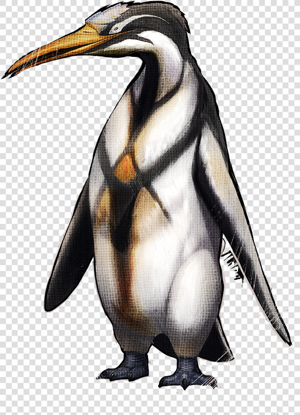 Pinguin Ark  HD Png DownloadTransparent PNG