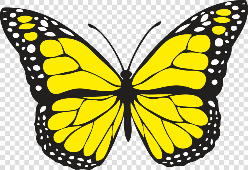 Yellow Butterfly Clipart � Clipart Free Download   Yellow Butterfly Clipart  HD Png DownloadTransparent PNG