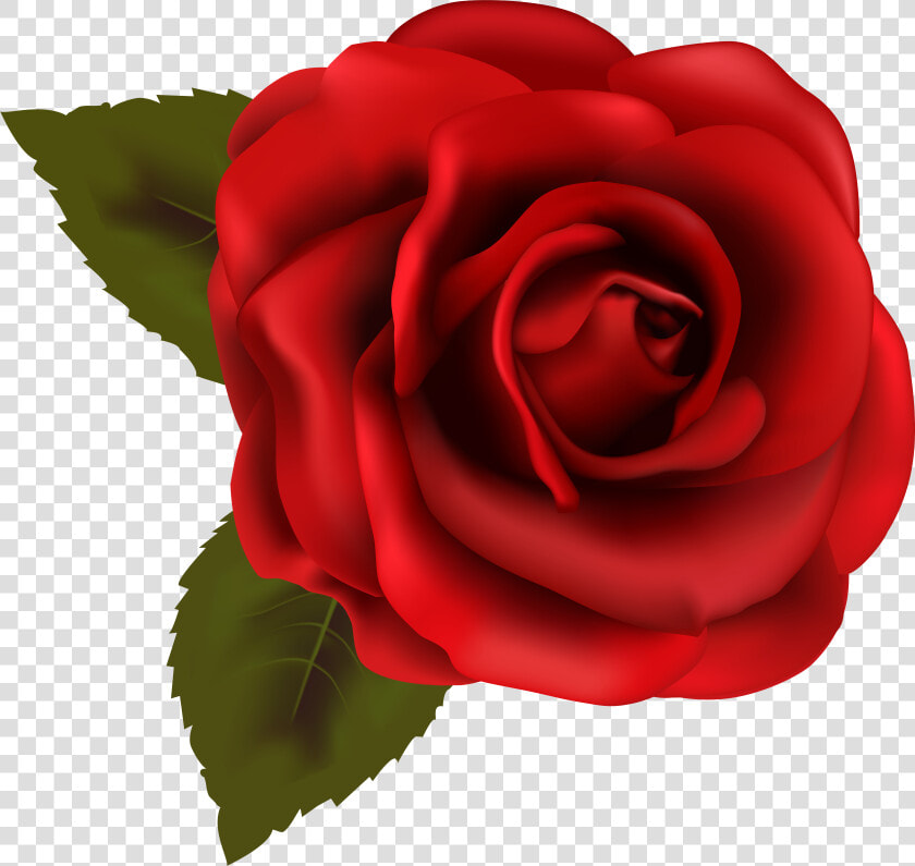 Red Rose Clipart Backgroundless   Transparent Background Rose Clipart  HD Png DownloadTransparent PNG