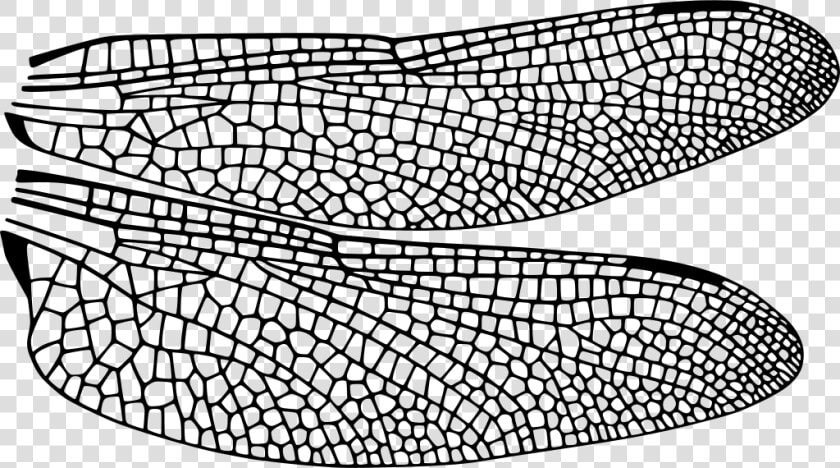 Graphene Grain Boundary Thermal Conductivity  HD Png DownloadTransparent PNG