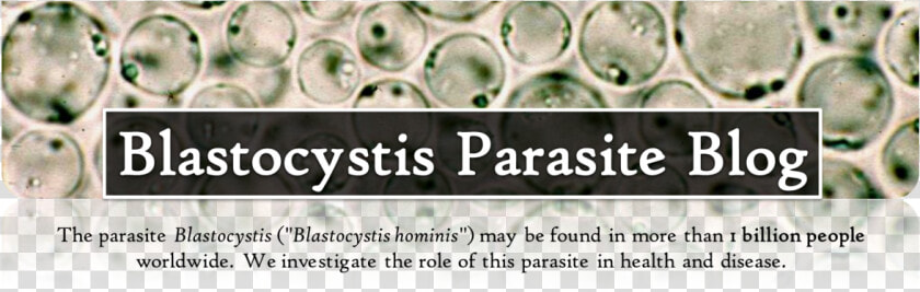 Blastocystis Parasite Blog   Blastocystis Hominis Blastocystis St7  HD Png DownloadTransparent PNG