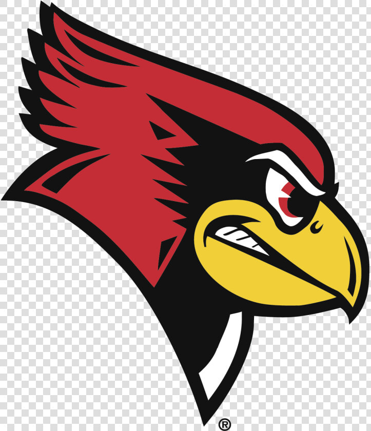 Eagle clip Art bird bald   Illinois State Redbird  HD Png DownloadTransparent PNG