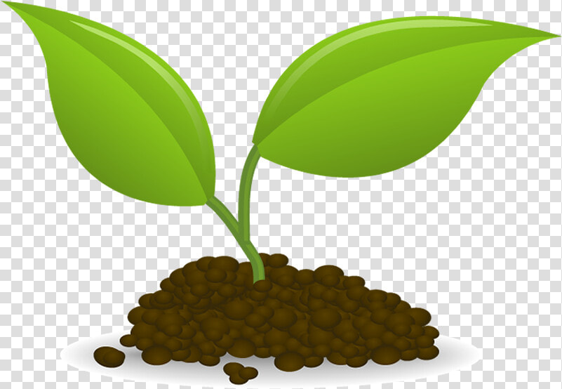 Plant Sowing Seedling Clip Art   Seedling Clip Art  HD Png DownloadTransparent PNG