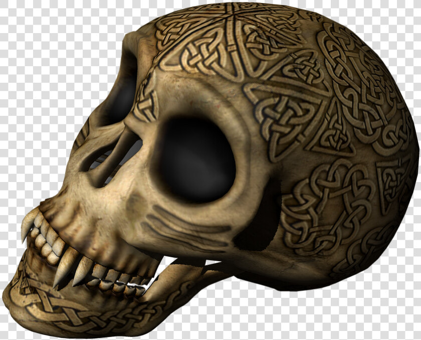 Reaper living Pictures  Free Photos  Free Images  Royalty   Skull  HD Png DownloadTransparent PNG