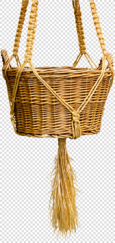 Basket Wicker Basket Isolated Kitten In The Basket   Cat  HD Png DownloadTransparent PNG