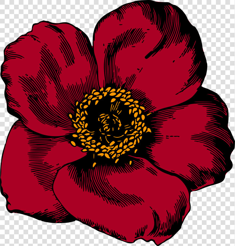 Plant flower rose Order   Flower Art Red Color  HD Png DownloadTransparent PNG