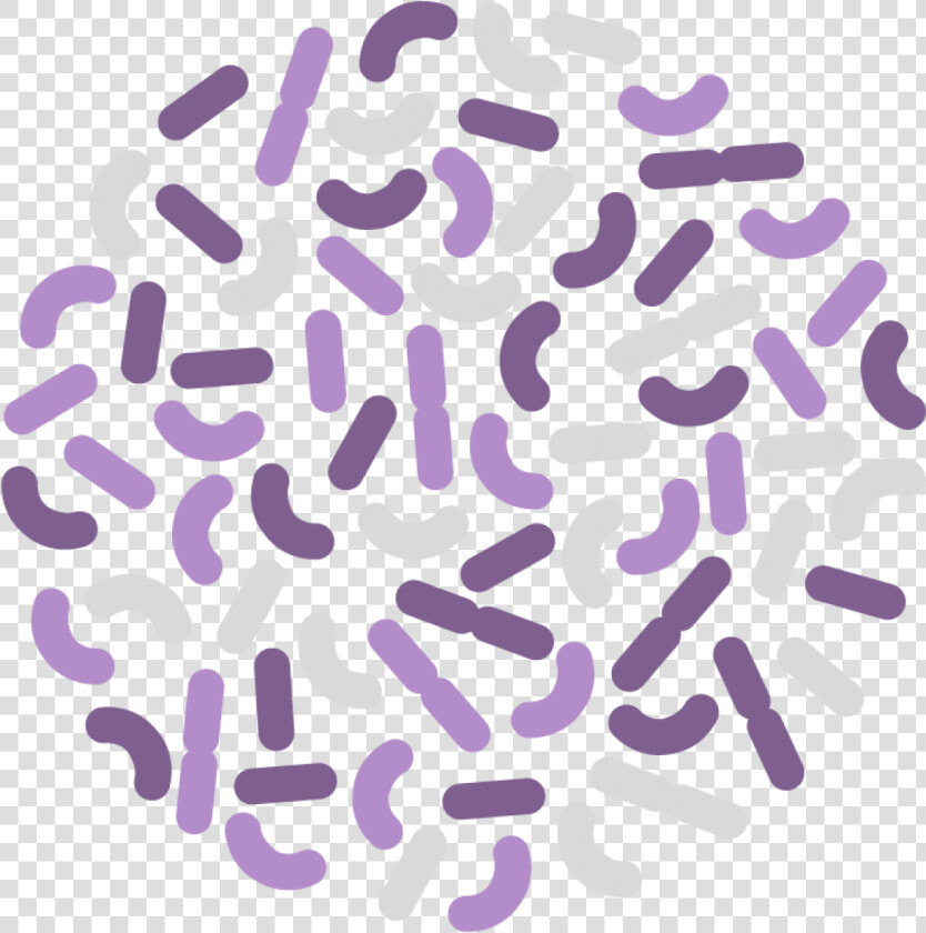 Simple Bacteria Illustration In Purple And Beige   Probiotics And Diabetes  HD Png DownloadTransparent PNG