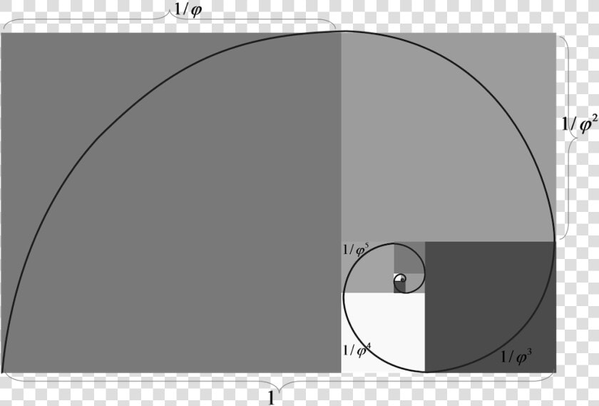 The Golden Ratio Is Everywhere   Circle  HD Png DownloadTransparent PNG