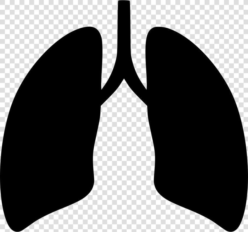 Svg Icon Free Download   Lungs Icon Png  Transparent PngTransparent PNG