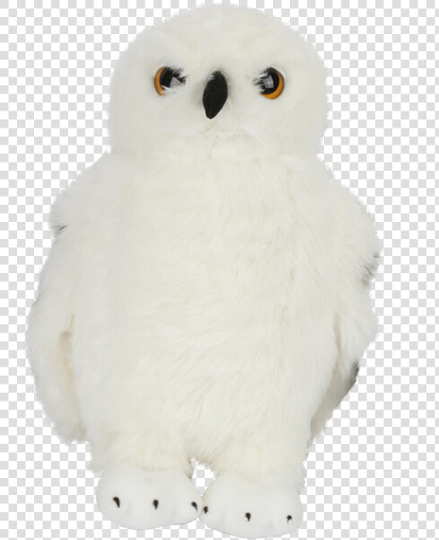 Hedwig Toys  HD Png DownloadTransparent PNG