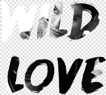 I Wanna Give You Wild Love the Kind That Never Slows   Calligraphy  HD Png DownloadTransparent PNG