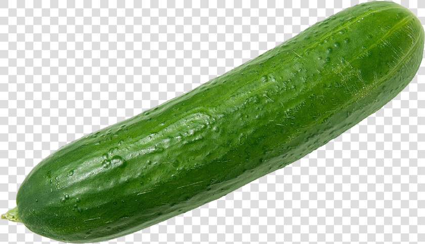 Cucumber Png Images Free Download   Cucumber Png  Transparent PngTransparent PNG