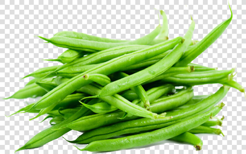 Green Beans Png Free Download   Green Beans Transparent Background  Png DownloadTransparent PNG