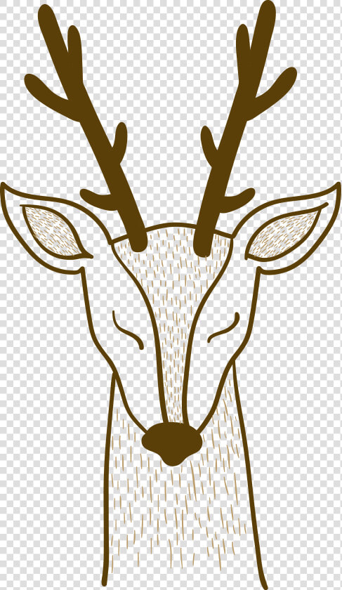 Pxe8re Davids Deer Sika Deer   Sika Deer  HD Png DownloadTransparent PNG