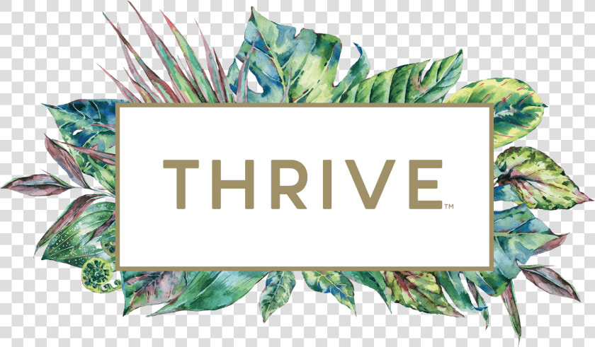 Thrive   Thrive Wine Logo Transparent  HD Png DownloadTransparent PNG